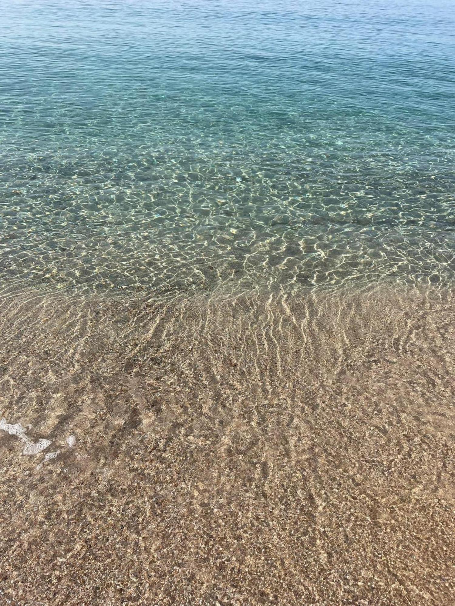 La Belle Vie F4 Bord De Plage Avec Jardin Calcatoggio (Corsica) Exterior foto